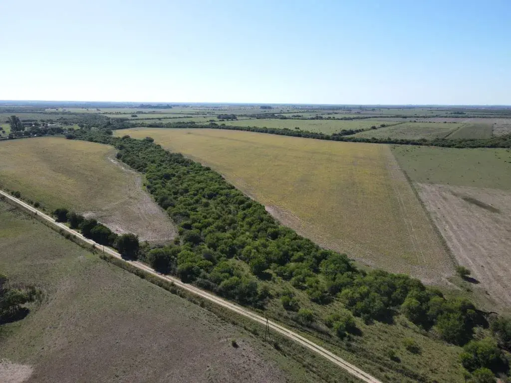 25-hectareas-agricolas-en-Talita-Larroque-santiago-badaracco-propiedades-1