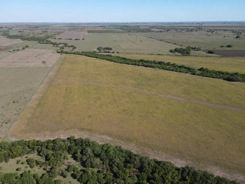 25-hectareas-agricolas-en-Talita-Larroque-santiago-badaracco-propiedades-2