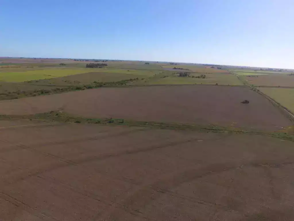 500 hectareas san salvador entre rios santiago badaracco propiedades (3)