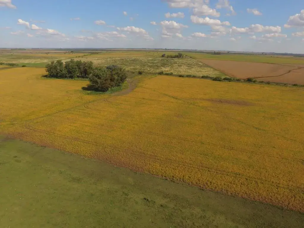 santiago-badaracco-propiedades-terrenos-120-hectareas-agricolas-gualeguaychu-1-1