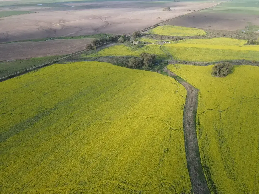 130 hectáreas agrícolas en Gualeguaychú (9)