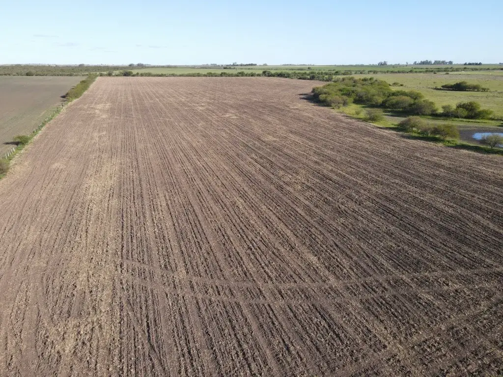 20-hectareas-agricolas-sobre-RN-14-Perdices-campo-en-venta-Gualeguaychu-Santiago-Badaraccco-Propiedades-Campos-agricolas-2