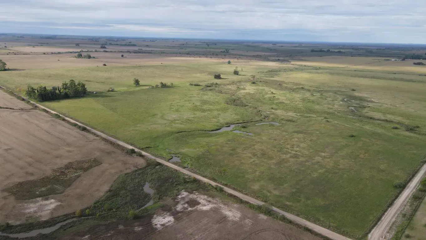 50-hectareas-agricolo-ganaderas-en-Gualeguaychu-SANTIAGO-BADARACCO-PROPIEDADES-6