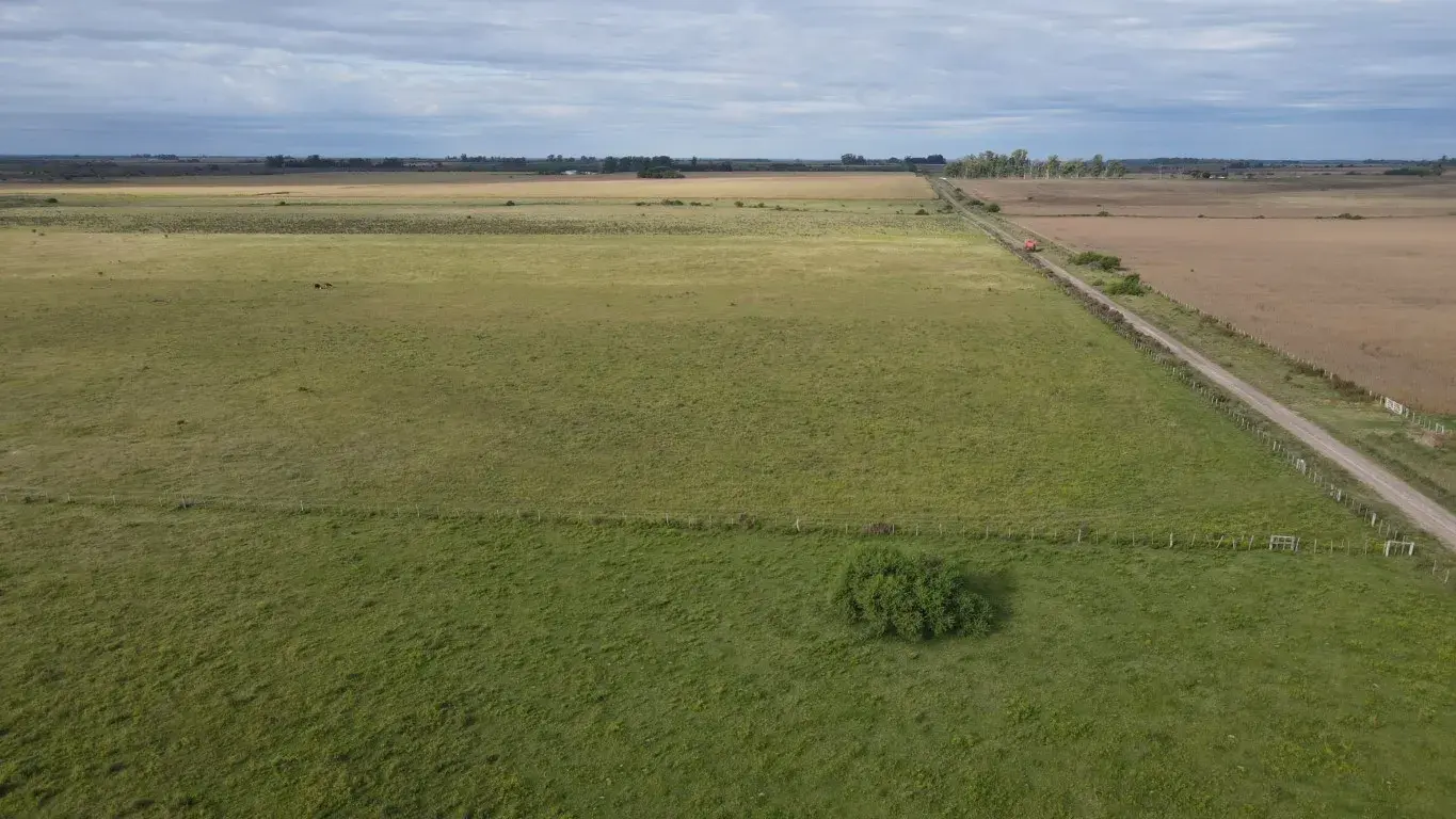 50-hectareas-agricolo-ganaderas-en-Gualeguaychu-SANTIAGO-BADARACCO-PROPIEDADES-7