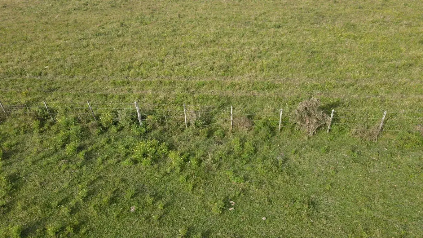 50-hectareas-agricolo-ganaderas-en-Gualeguaychu-SANTIAGO-BADARACCO-PROPIEDADES-8