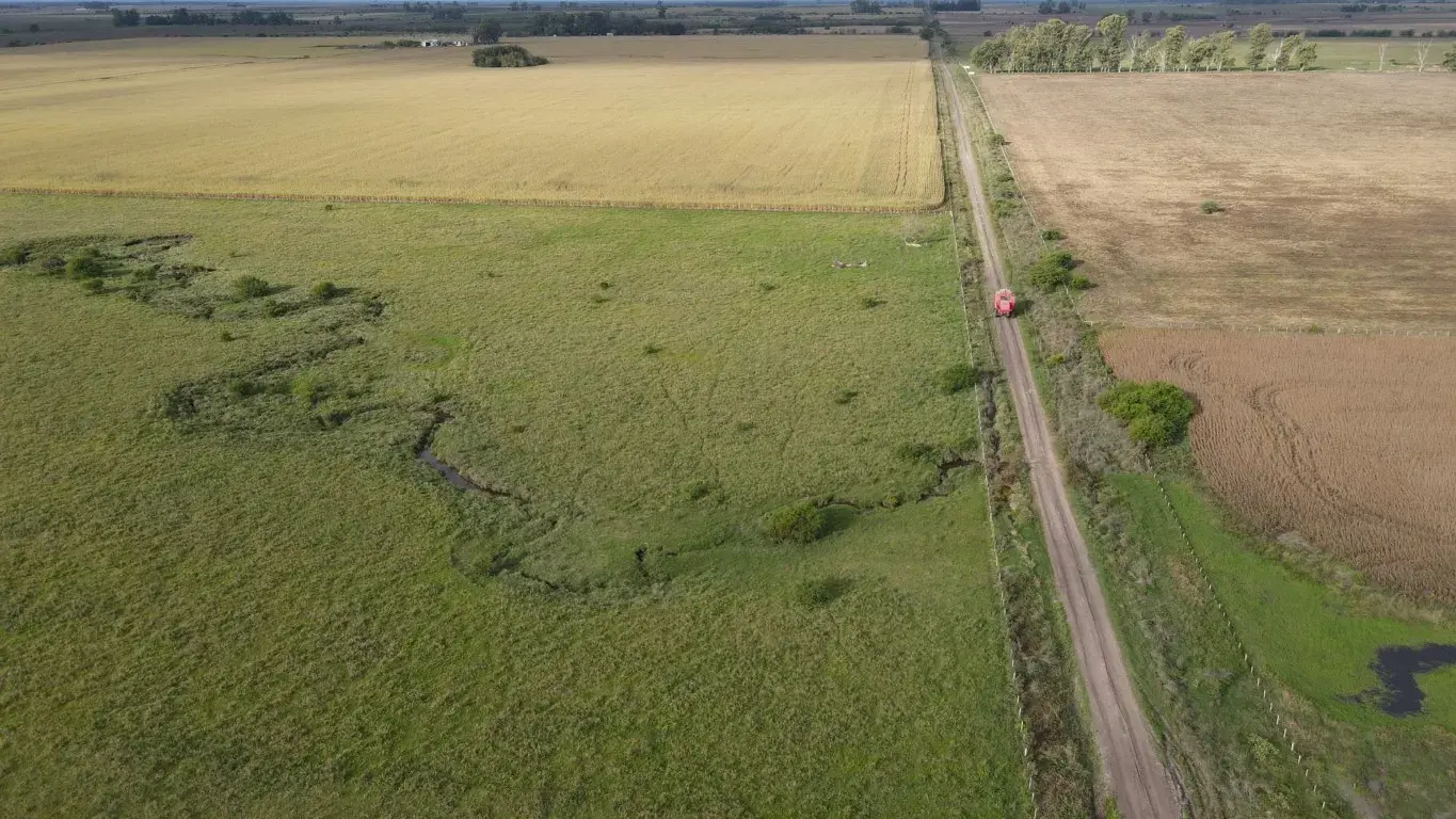 50-hectareas-agricolo-ganaderas-en-Gualeguaychu-SANTIAGO-BADARACCO-PROPIEDADES-9