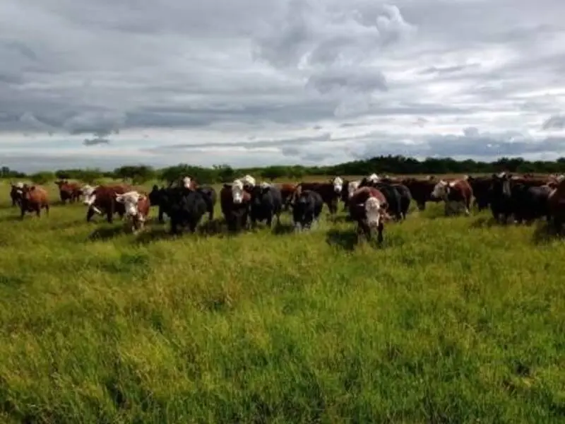 Campo En Venta De 2370 Has Ganaderas En Gualeguaychú-Santiago-Badaracco-0- (18)