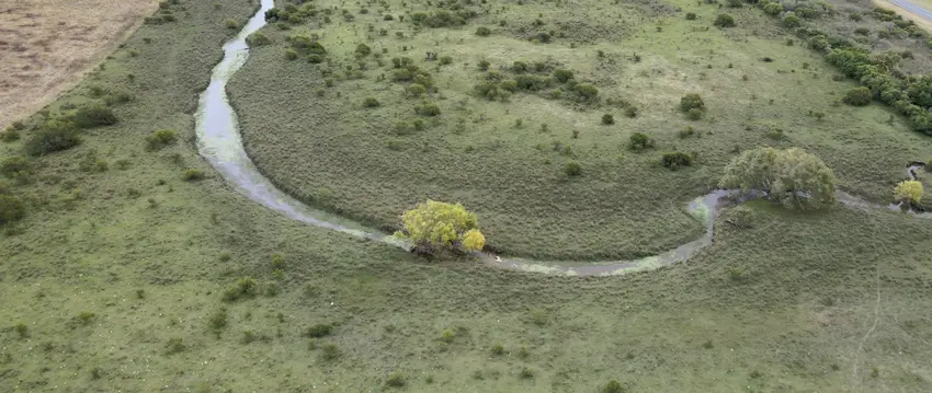 Campo En Venta De 28 Has Agrícolas, Gualeguaychú – Santiago Badaracco Propiedades (8)