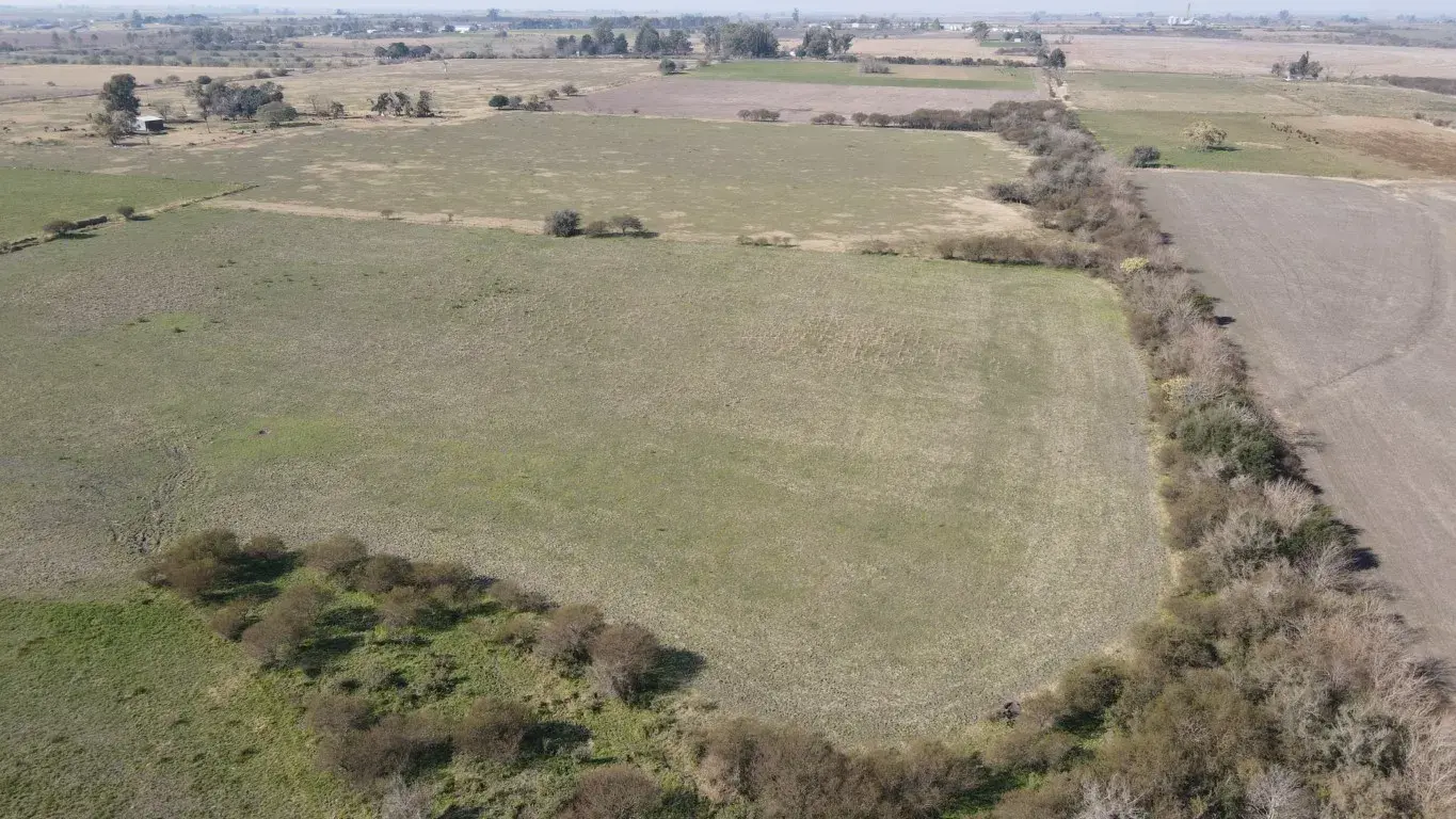 Chacra de 14 hectáreas sobre ripio en Mansilla en venta santiago badaracco propiedades (6)