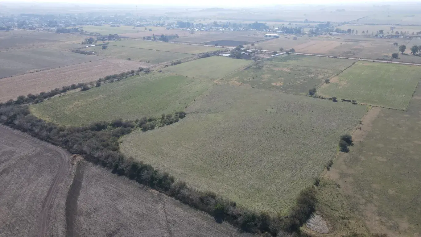 Chacra de 14 hectáreas sobre ripio en Mansilla en venta santiago badaracco propiedades (7)