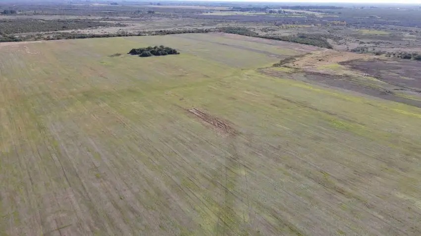 Venta de campos en Gualeguaychú,Campos ganaderos en venta Entre Ríos,Terrenos agrícolas en Gualeguaychú,Venta de campos mixtos en Entre Ríos,Oportunidades de inversión en tierras en Entre Ríos,Campos productivos en venta en Gualeguaychú,Inversiones rurales en Gualeguaychú,Venta de propiedades rurales en Entre Ríos,Terrenos para agricultura y ganadería en Gualeguaychú