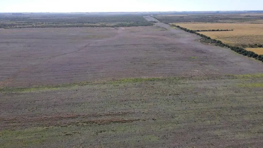 Venta de campos en Gualeguaychú,Campos ganaderos en venta Entre Ríos,Terrenos agrícolas en Gualeguaychú,Venta de campos mixtos en Entre Ríos,Oportunidades de inversión en tierras en Entre Ríos,Campos productivos en venta en Gualeguaychú,Inversiones rurales en Gualeguaychú,Venta de propiedades rurales en Entre Ríos,Terrenos para agricultura y ganadería en Gualeguaychú