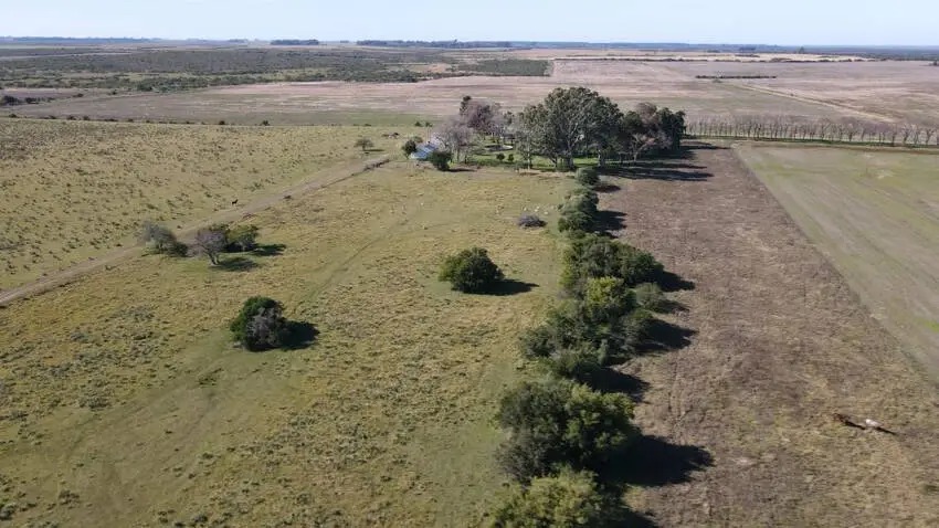 Venta de campos en Gualeguaychú,Campos ganaderos en venta Entre Ríos,Terrenos agrícolas en Gualeguaychú,Venta de campos mixtos en Entre Ríos,Oportunidades de inversión en tierras en Entre Ríos,Campos productivos en venta en Gualeguaychú,Inversiones rurales en Gualeguaychú,Venta de propiedades rurales en Entre Ríos,Terrenos para agricultura y ganadería en Gualeguaychú