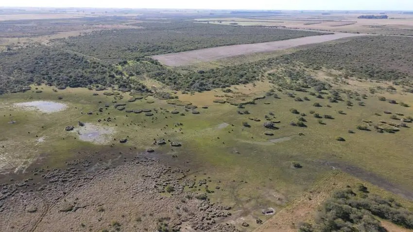 Venta de campos en Gualeguaychú,Campos ganaderos en venta Entre Ríos,Terrenos agrícolas en Gualeguaychú,Venta de campos mixtos en Entre Ríos,Oportunidades de inversión en tierras en Entre Ríos,Campos productivos en venta en Gualeguaychú,Inversiones rurales en Gualeguaychú,Venta de propiedades rurales en Entre Ríos,Terrenos para agricultura y ganadería en Gualeguaychú