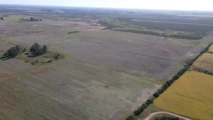 900 hectareas en venta en gualeguaychu santiago badaracco (6)