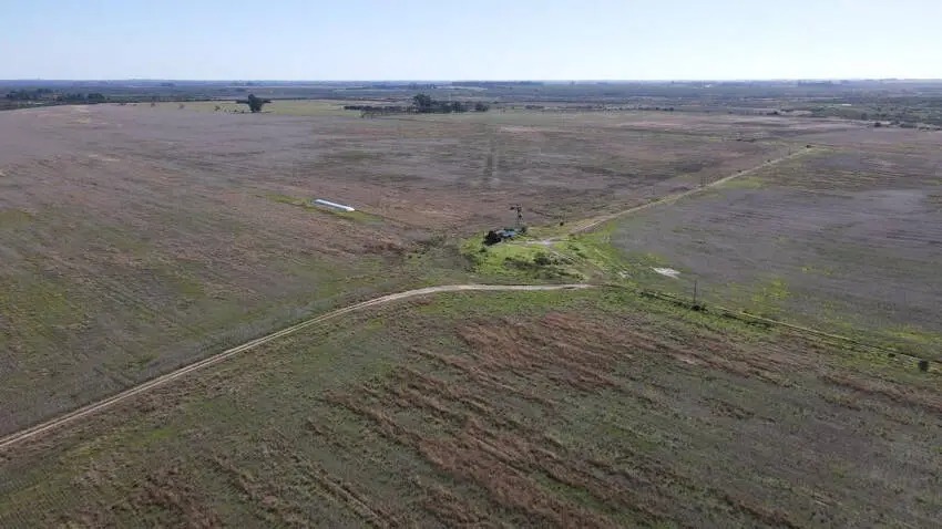 900 hectareas en venta en gualeguaychu santiago badaracco (7)