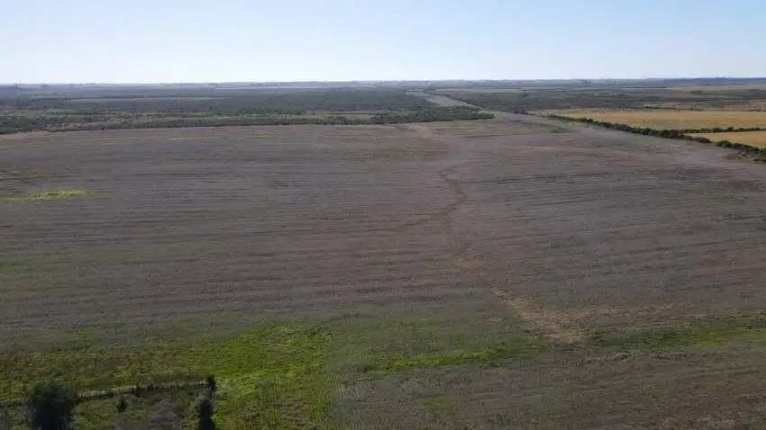 900 hectareas en venta en gualeguaychu santiago badaracco (8)