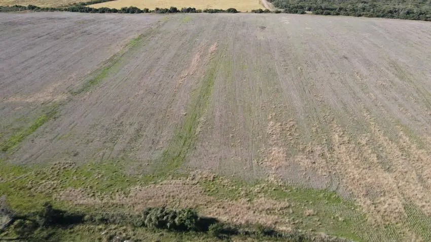 900 hectareas en venta en gualeguaychu santiago badaracco (9)