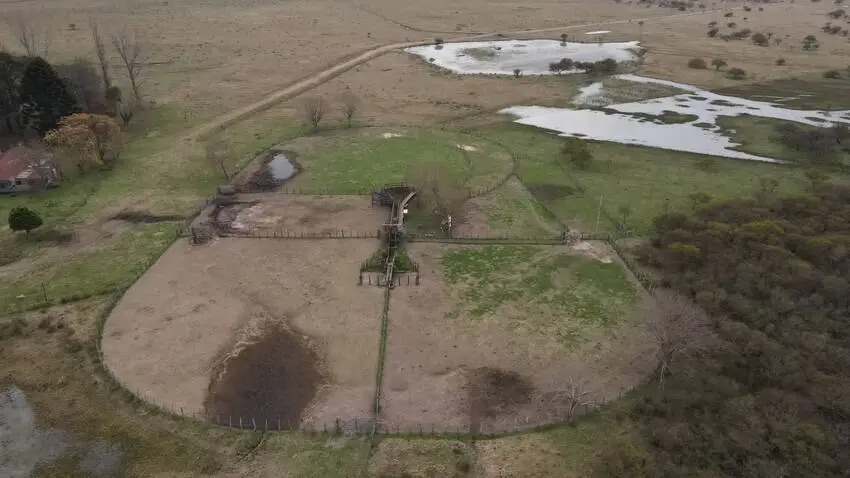 500 Hectáreas Mixtas, Con Mejoras Gualeguaychú – santiago badaracco propiedades – mejor inmobiliaria de gualeguaychu (9)