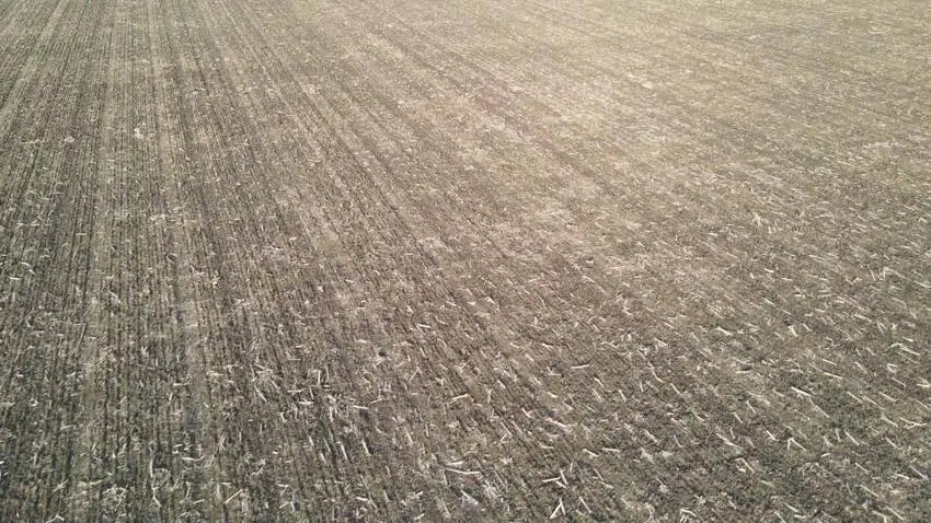 en venta – campos entrerrianos – 18 hectáreas agrícolas en Aldea San Antonio Gualeguaychú (6)