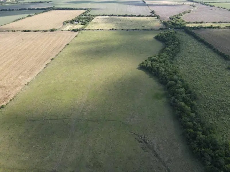 en venta – campos entrerrianos – 65 hectareas agrícolas mixtas en Rosario del Tala Campos Entrerrianos (1)