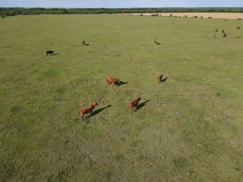 en venta – campos entrerrianos – 65 hectareas agrícolas mixtas en Rosario del Tala Campos Entrerrianos (10)