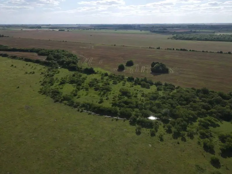 en venta – campos entrerrianos – 65 hectareas agrícolas mixtas en Rosario del Tala Campos Entrerrianos (7)