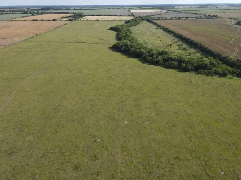 en venta – campos entrerrianos – 65 hectareas agrícolas mixtas en Rosario del Tala Campos Entrerrianos (8)