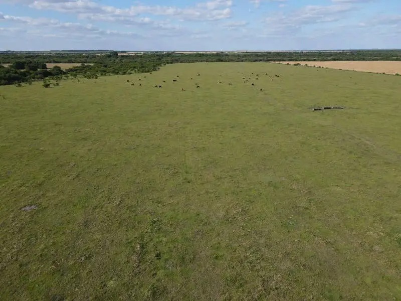 en venta – campos entrerrianos – 65 hectareas agrícolas mixtas en Rosario del Tala Campos Entrerrianos (9)