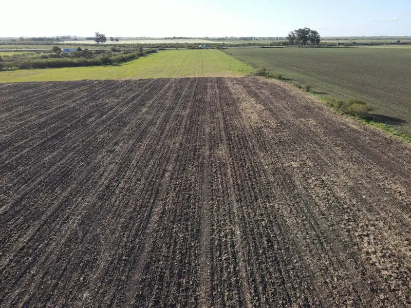 Venta de campos en Gualeguaychú,Campos ganaderos en venta Entre Ríos,Terrenos agrícolas en Gualeguaychú,Venta de campos mixtos en Entre Ríos,Oportunidades de inversión en tierras en Entre Ríos,Campos productivos en venta en Gualeguaychú,Inversiones rurales en Gualeguaychú,Venta de propiedades rurales en Entre Ríos,Terrenos para agricultura y ganadería en Gualeguaychú