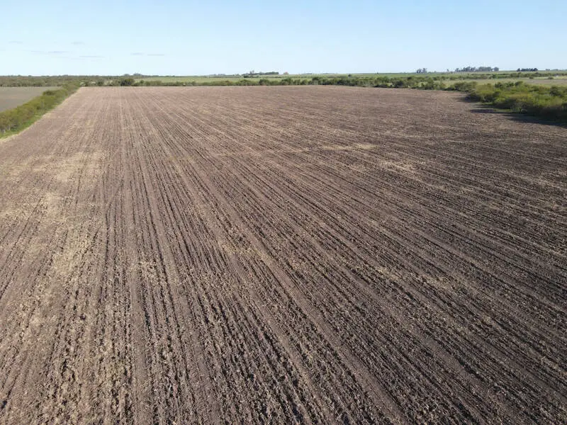 Venta de campos en Gualeguaychú,Campos ganaderos en venta Entre Ríos,Terrenos agrícolas en Gualeguaychú,Venta de campos mixtos en Entre Ríos,Oportunidades de inversión en tierras en Entre Ríos,Campos productivos en venta en Gualeguaychú,Inversiones rurales en Gualeguaychú,Venta de propiedades rurales en Entre Ríos,Terrenos para agricultura y ganadería en Gualeguaychú