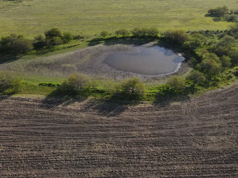 Venta de campos en Gualeguaychú,Campos ganaderos en venta Entre Ríos,Terrenos agrícolas en Gualeguaychú,Venta de campos mixtos en Entre Ríos,Oportunidades de inversión en tierras en Entre Ríos,Campos productivos en venta en Gualeguaychú,Inversiones rurales en Gualeguaychú,Venta de propiedades rurales en Entre Ríos,Terrenos para agricultura y ganadería en Gualeguaychú