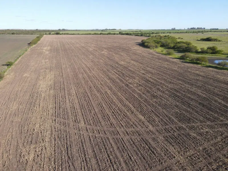 Venta de campos en Gualeguaychú,Campos ganaderos en venta Entre Ríos,Terrenos agrícolas en Gualeguaychú,Venta de campos mixtos en Entre Ríos,Oportunidades de inversión en tierras en Entre Ríos,Campos productivos en venta en Gualeguaychú,Inversiones rurales en Gualeguaychú,Venta de propiedades rurales en Entre Ríos,Terrenos para agricultura y ganadería en Gualeguaychú