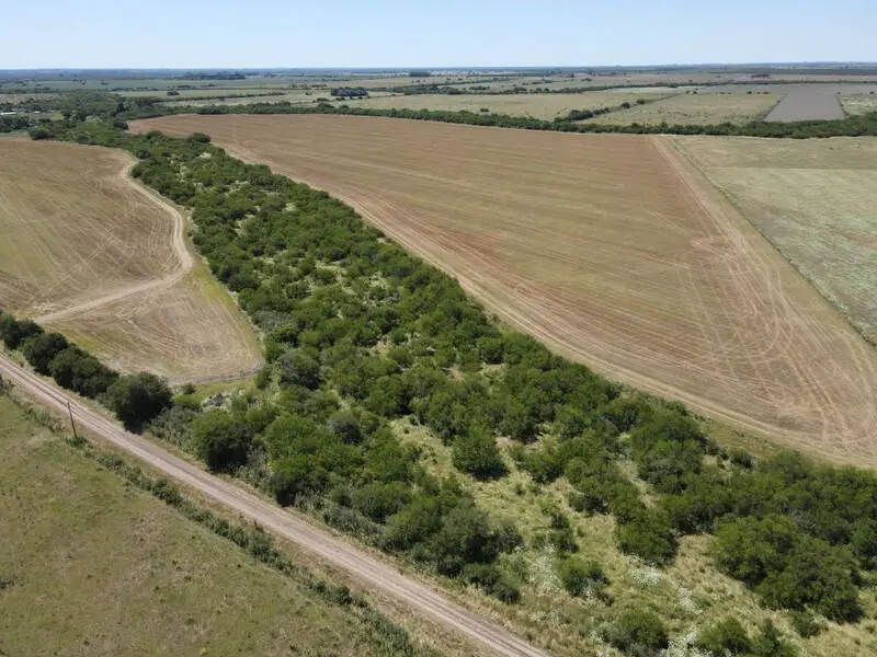 Venta de campos en Gualeguaychú,Campos ganaderos en venta Entre Ríos,Terrenos agrícolas en Gualeguaychú,Venta de campos mixtos en Entre Ríos,Oportunidades de inversión en tierras en Entre Ríos,Campos productivos en venta en Gualeguaychú,Inversiones rurales en Gualeguaychú,Venta de propiedades rurales en Entre Ríos,Terrenos para agricultura y ganadería en Gualeguaychú