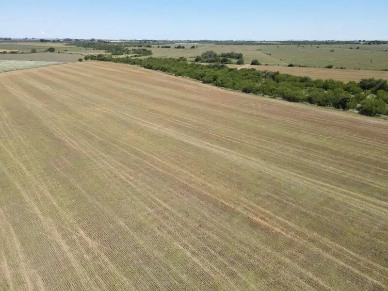 venta de campos en entre rios campos en entre rios campos argentinos inmobiliaria en gualeeguaychú 25 hectáreas agrícolas en talita (2)