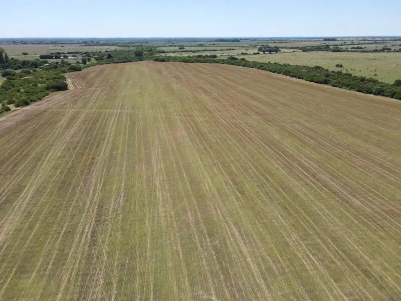 venta de campos en entre rios campos en entre rios campos argentinos inmobiliaria en gualeeguaychú 25 hectáreas agrícolas en talita (3)