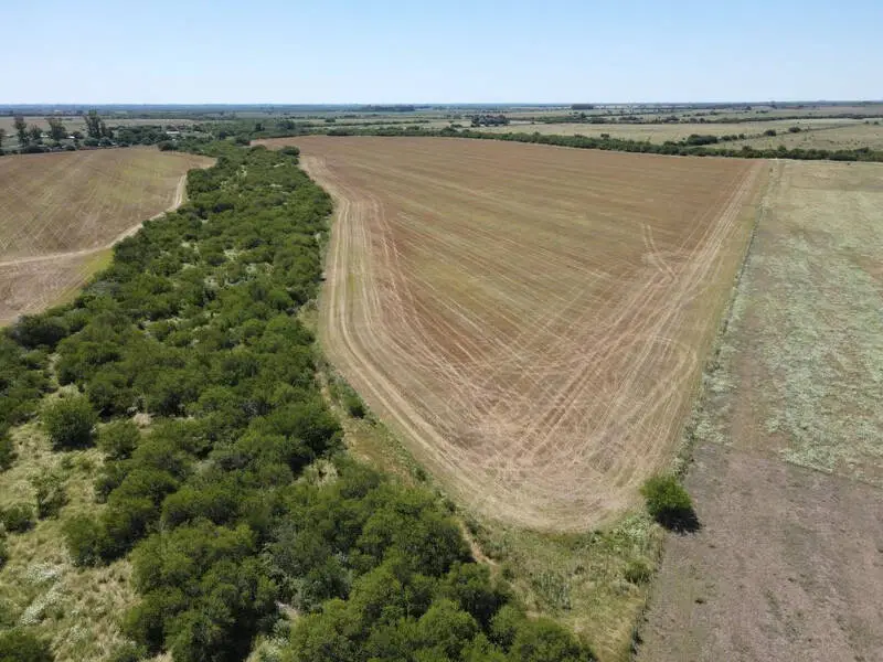 Venta de campos en Gualeguaychú,Campos ganaderos en venta Entre Ríos,Terrenos agrícolas en Gualeguaychú,Venta de campos mixtos en Entre Ríos,Oportunidades de inversión en tierras en Entre Ríos,Campos productivos en venta en Gualeguaychú,Inversiones rurales en Gualeguaychú,Venta de propiedades rurales en Entre Ríos,Terrenos para agricultura y ganadería en Gualeguaychú