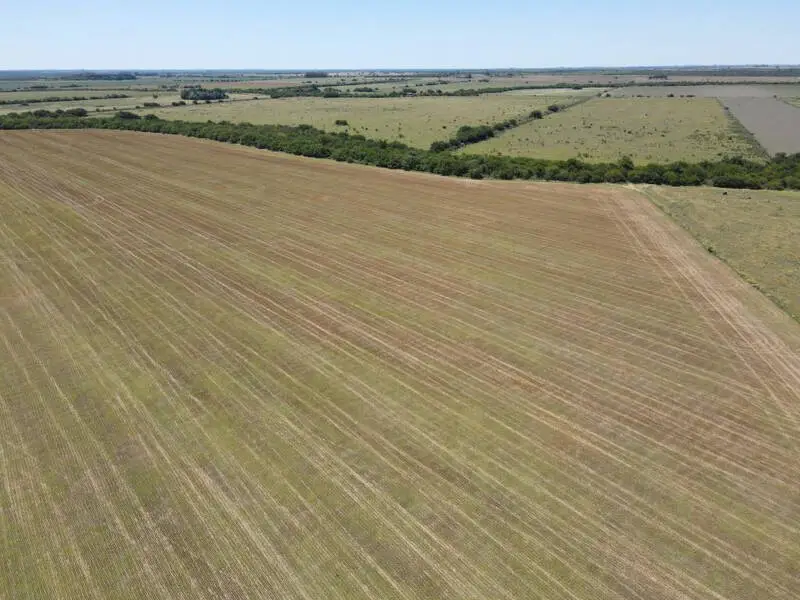 Venta de campos en Gualeguaychú,Campos ganaderos en venta Entre Ríos,Terrenos agrícolas en Gualeguaychú,Venta de campos mixtos en Entre Ríos,Oportunidades de inversión en tierras en Entre Ríos,Campos productivos en venta en Gualeguaychú,Inversiones rurales en Gualeguaychú,Venta de propiedades rurales en Entre Ríos,Terrenos para agricultura y ganadería en Gualeguaychú