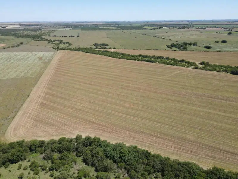 Venta de campos en Gualeguaychú,Campos ganaderos en venta Entre Ríos,Terrenos agrícolas en Gualeguaychú,Venta de campos mixtos en Entre Ríos,Oportunidades de inversión en tierras en Entre Ríos,Campos productivos en venta en Gualeguaychú,Inversiones rurales en Gualeguaychú,Venta de propiedades rurales en Entre Ríos,Terrenos para agricultura y ganadería en Gualeguaychú
