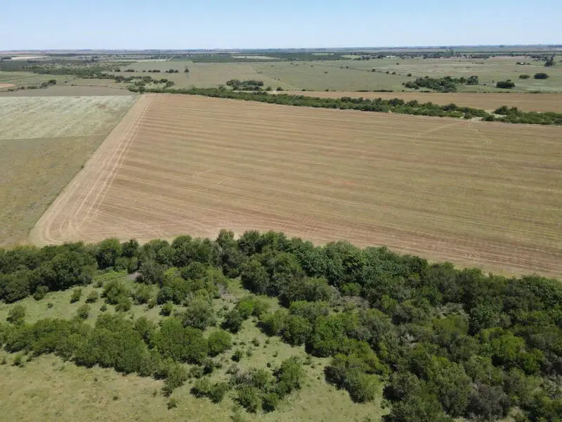 Venta de campos en Gualeguaychú,Campos ganaderos en venta Entre Ríos,Terrenos agrícolas en Gualeguaychú,Venta de campos mixtos en Entre Ríos,Oportunidades de inversión en tierras en Entre Ríos,Campos productivos en venta en Gualeguaychú,Inversiones rurales en Gualeguaychú,Venta de propiedades rurales en Entre Ríos,Terrenos para agricultura y ganadería en Gualeguaychú