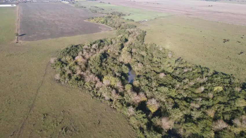 Venta de campos en Gualeguaychú,Campos ganaderos en venta Entre Ríos,Terrenos agrícolas en Gualeguaychú,Venta de campos mixtos en Entre Ríos,Oportunidades de inversión en tierras en Entre Ríos,Campos productivos en venta en Gualeguaychú,Inversiones rurales en Gualeguaychú,Venta de propiedades rurales en Entre Ríos,Terrenos para agricultura y ganadería en Gualeguaychú