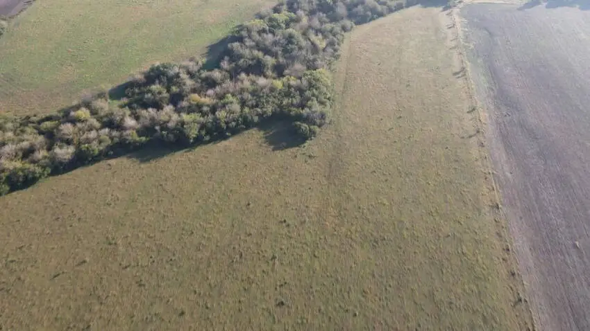 venta de campos en entre rios campos en entre rios campos argentinos inmobiliaria en gualeeguaychú 30 hectáreas mixtas aldea san antonio, gualeguaychú (2)