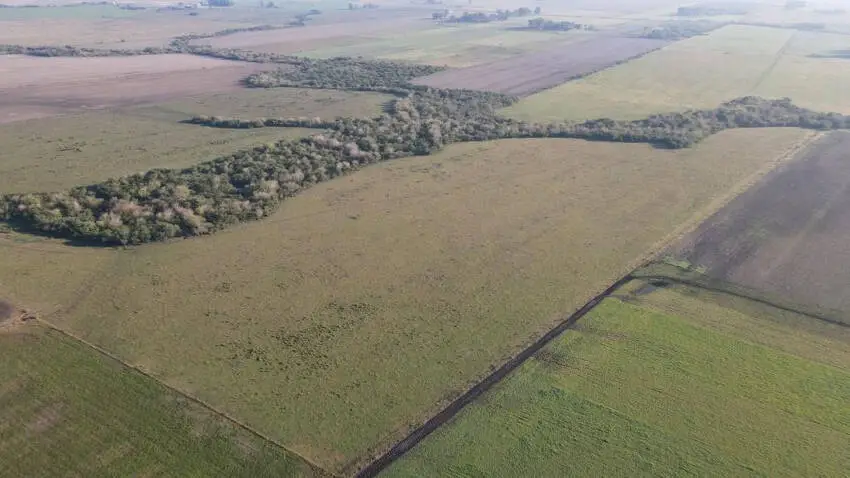 venta de campos en entre rios campos en entre rios campos argentinos inmobiliaria en gualeeguaychú 30 hectáreas mixtas aldea san antonio, gualeguaychú (3)