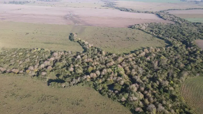 Venta de campos en Gualeguaychú,Campos ganaderos en venta Entre Ríos,Terrenos agrícolas en Gualeguaychú,Venta de campos mixtos en Entre Ríos,Oportunidades de inversión en tierras en Entre Ríos,Campos productivos en venta en Gualeguaychú,Inversiones rurales en Gualeguaychú,Venta de propiedades rurales en Entre Ríos,Terrenos para agricultura y ganadería en Gualeguaychú
