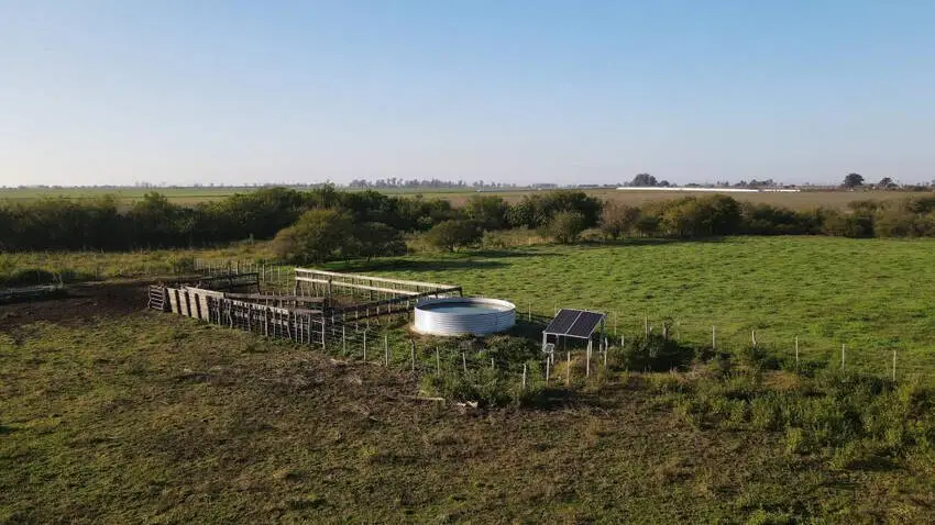 Venta de campos en Gualeguaychú,Campos ganaderos en venta Entre Ríos,Terrenos agrícolas en Gualeguaychú,Venta de campos mixtos en Entre Ríos,Oportunidades de inversión en tierras en Entre Ríos,Campos productivos en venta en Gualeguaychú,Inversiones rurales en Gualeguaychú,Venta de propiedades rurales en Entre Ríos,Terrenos para agricultura y ganadería en Gualeguaychú