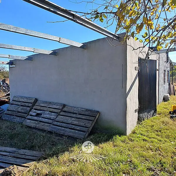 venta de campos en entre rios campos en entre rios campos argentinos inmobiliaria en gualeeguaychú 335 hectáreas ganaderas con mejoras (2)