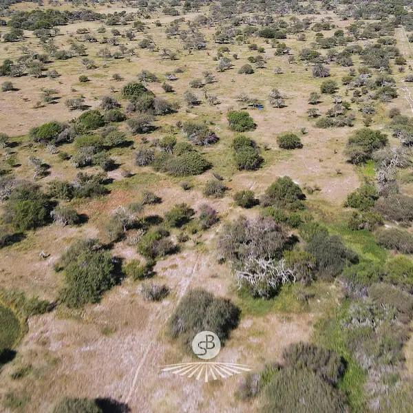 venta de campos en entre rios campos en entre rios campos argentinos inmobiliaria en gualeeguaychú 335 hectáreas ganaderas con mejoras (3)