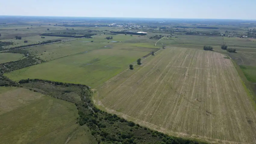 venta de campos en entre rios campos en entre rios campos argentinos inmobiliaria en gualeguaychú 370 ha mixtas – haras gualeguaychú (2)