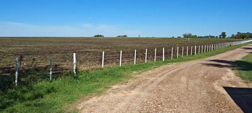 venta de campos en entre rios campos en entre rios campos argentinos inmobiliaria en gualeguaychú 370 ha mixtas – haras gualeguaychú (5)