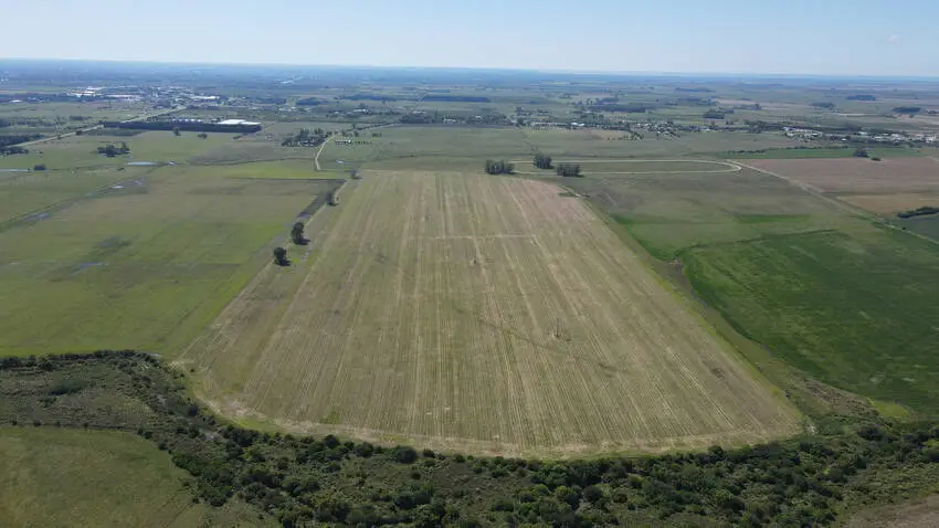 venta de campos en entre rios campos en entre rios campos argentinos inmobiliaria en gualeguaychú 370 ha mixtas – haras gualeguaychú (7)
